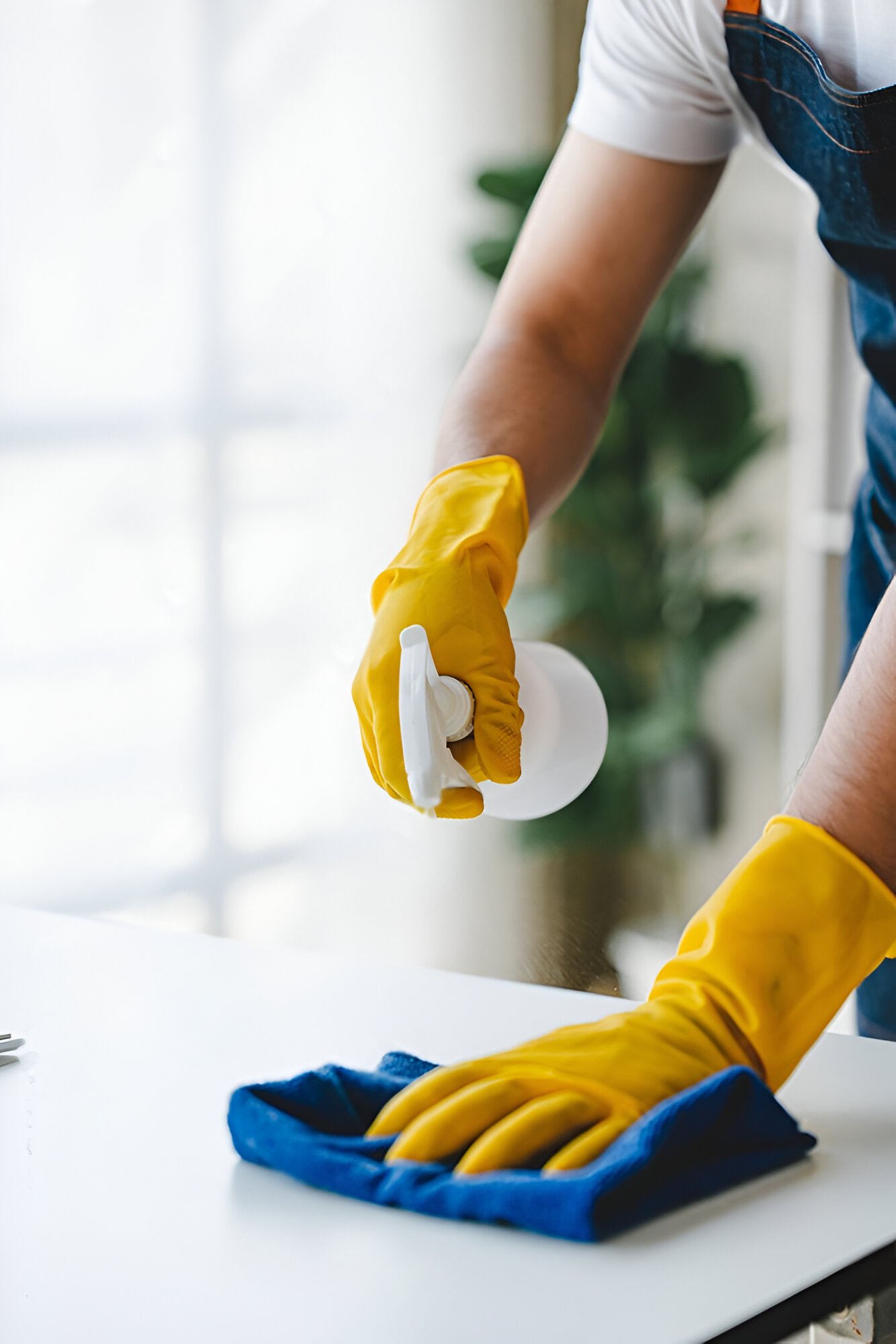 Hoarding Cleanup services in Belleville, Tx